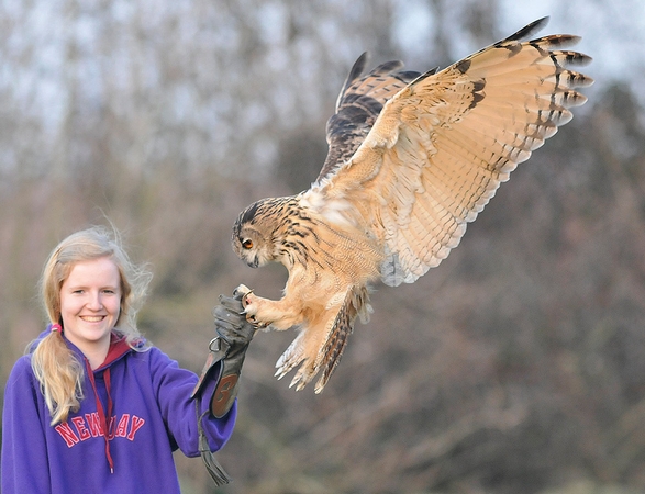 Beth with Turner (Eagle Owl) 1st March 2012