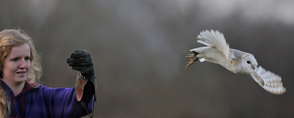 Beth with Luna (Barn Owl) 1st March 2012