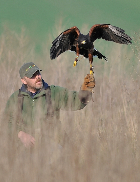 Pat with Shelly (Harris Hawk) 1st March 2012