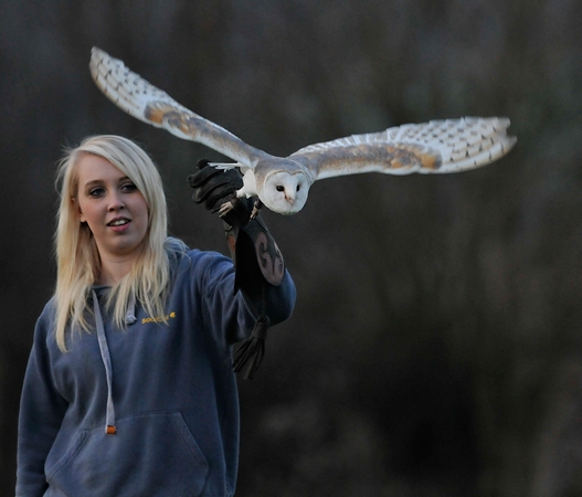 Rhea with Luna (Barn Owl) 1st March 2012