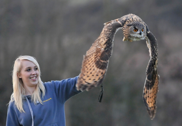 Rhea with Turner (Eagle Owl) 1st March 2012