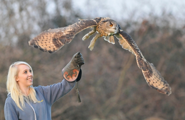 Rhea with Turner (Eagle Owl) 1st March 2012