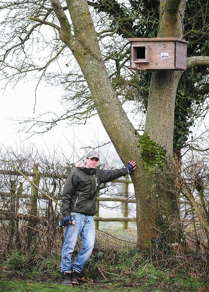 2013: Mark Warner assisting with the positioning of Barn Owl Box Number 2918. This nest box is 11ft high to entrance.
