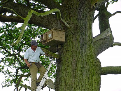 Vince postioning 1 of the 1200 Owl boxes he as put up in the countryside