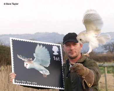 Vince during a national Barn Owl stamp launch