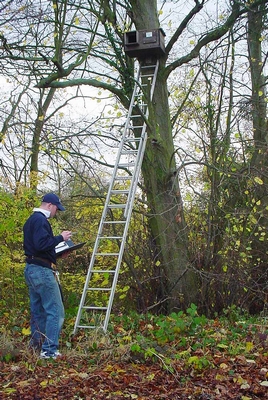 Warren Powell out recording nest box data