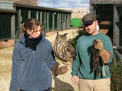 "The Mink" Caught by one of our Eagle Owls after entering his aviay