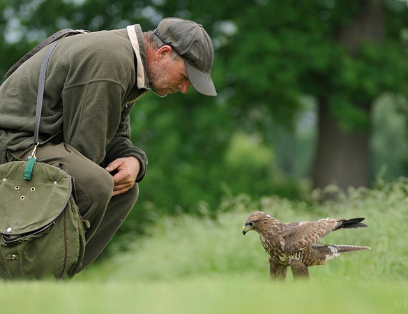 Vince having a quiet moment with Leighton, the Buzzard... Image taken by Edwin Kats, a photographer friend from the Netherlands