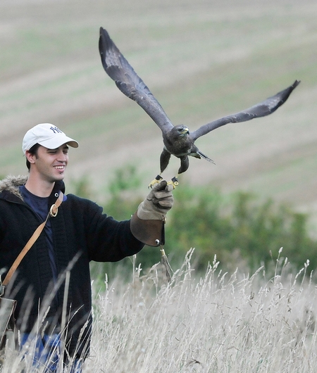 Carl out training Pringle, one of the Buzzards here at the centre