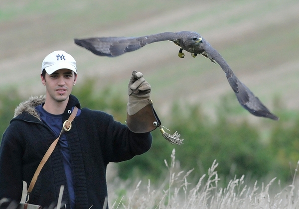 Carl out training Pringle, one of the Buzzards here at the centre