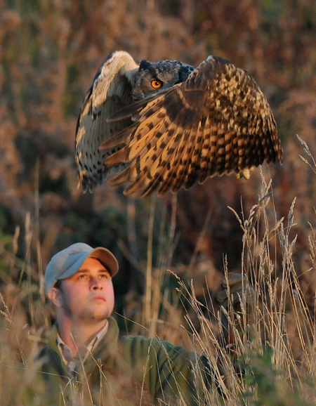 Jim Homer out with Kaln the Eagle