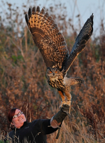 Becky out exercising Kaln the Eagle Owl