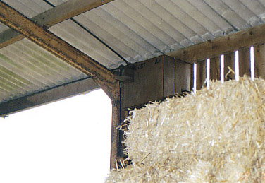 Nest box within the corner of hay barn