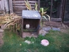 Barn Owl kept in disgusting conditions