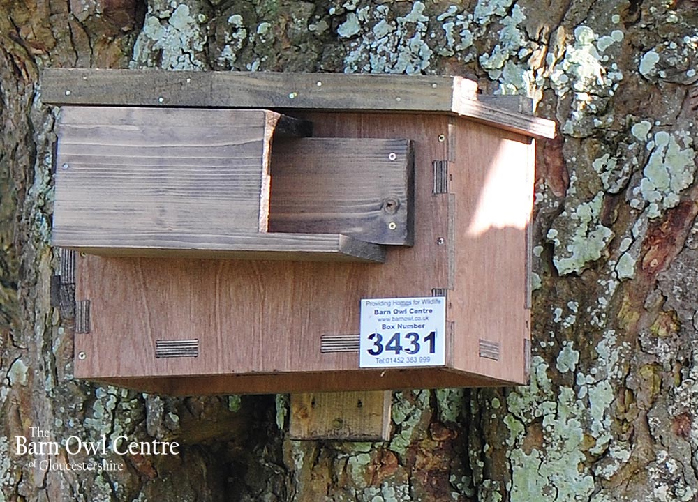 The Barn Owl Centre - Little Owl Nest Box (Made from 18mm External Ply ...