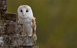 We have a great environment We have a great environment